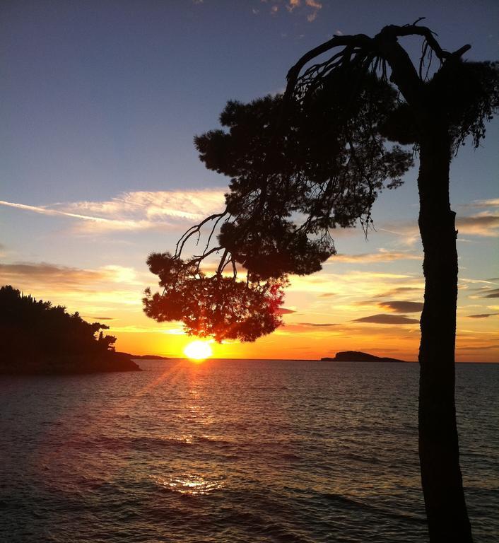 Epidaurum Apartments Cavtat Cameră foto